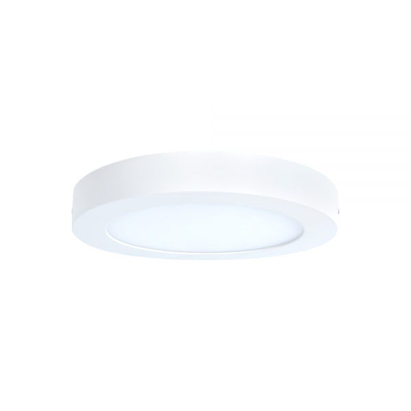 EXCELLENTO CLASSIC RD EY